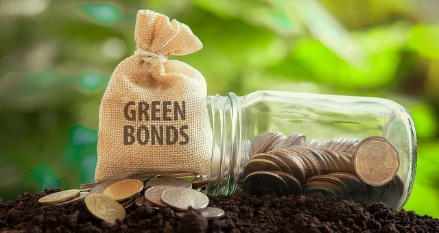 投資拡大が見込まれるグリーンボンドとは　メリットと懸念点、最新の動向を確認しよう